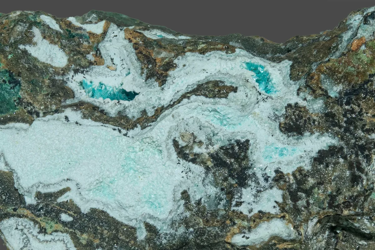 Aurichalcite: Pale greenish-blue acicular crystals (to 1.5 mm) associated and intergrown with hemimorphite and hydrozincite. 30 mm field of view. MGMH Collection. 2022.4.5815L.