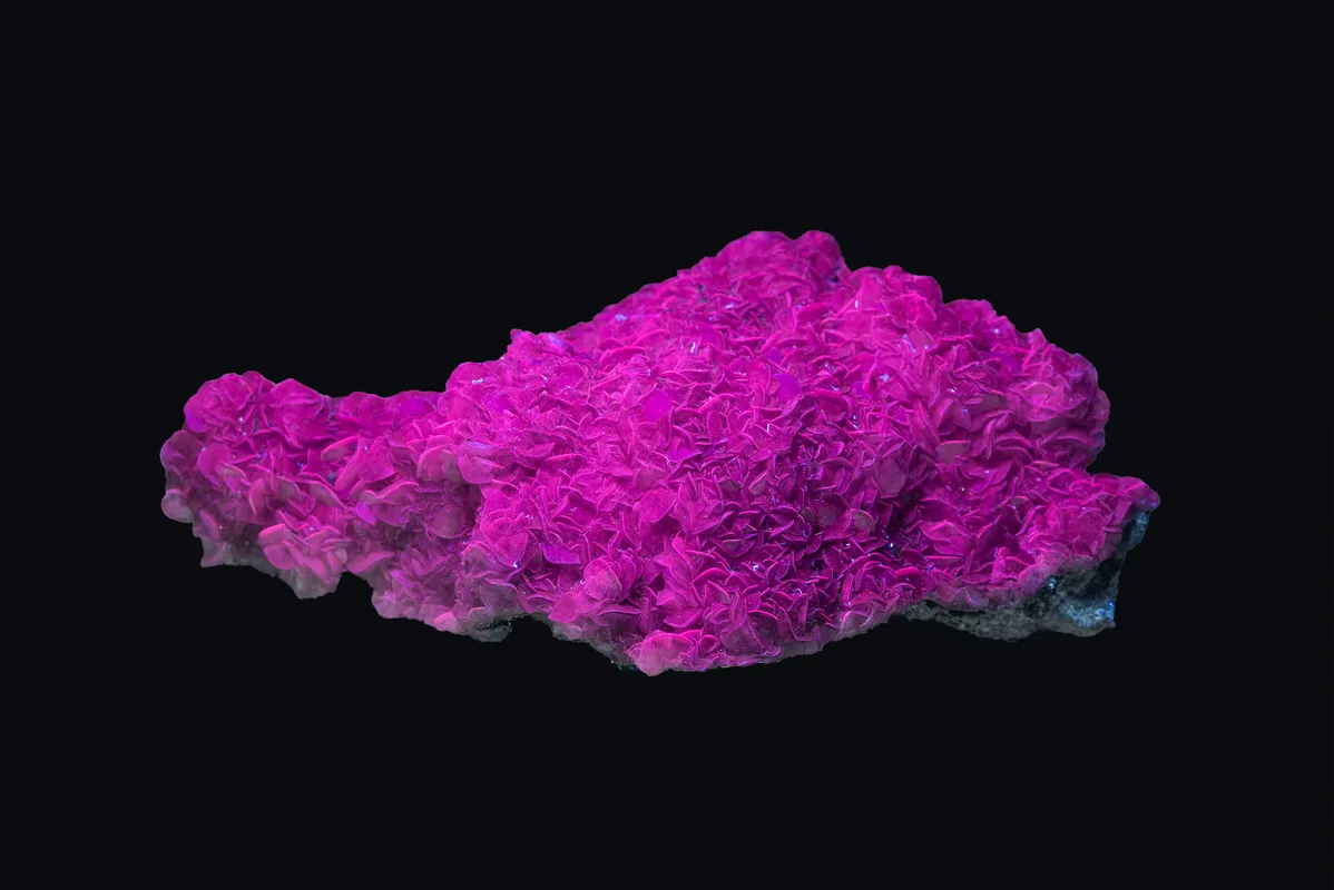 Exhibit 2. Smithsonite, photographed in SWUV; 108 mm.