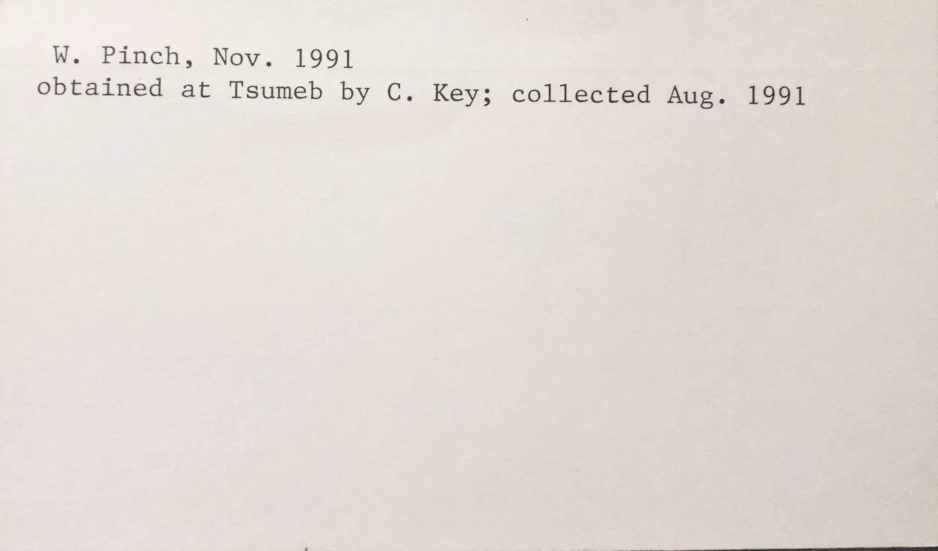 Exhibit 3. Specimen datacard (reverse; Mark Feinglos).