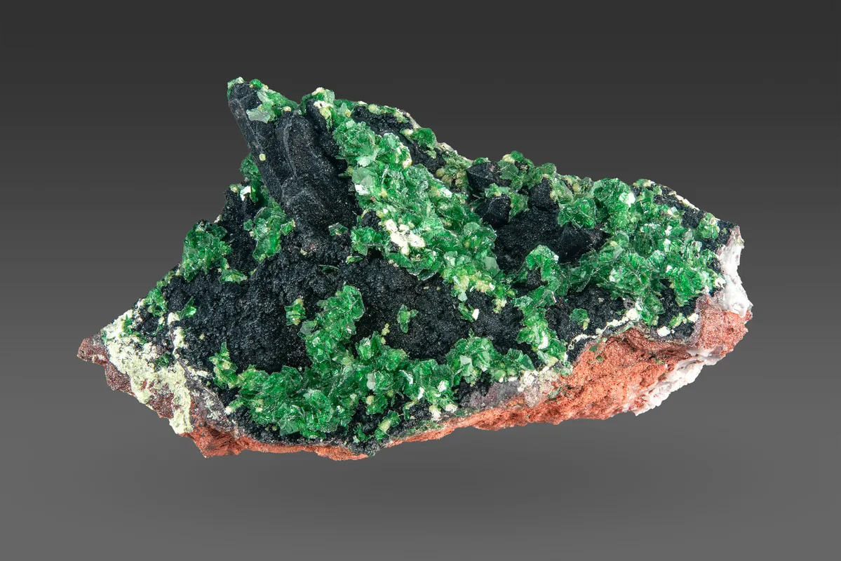 Bayldonite: Aggregates of platy, emerald-green crystals of bayldonite (to 1.5 mm) associated with hematite-coated quartz crystals. 29 mm specimen. MGMH Collection. 2020.7.2002.